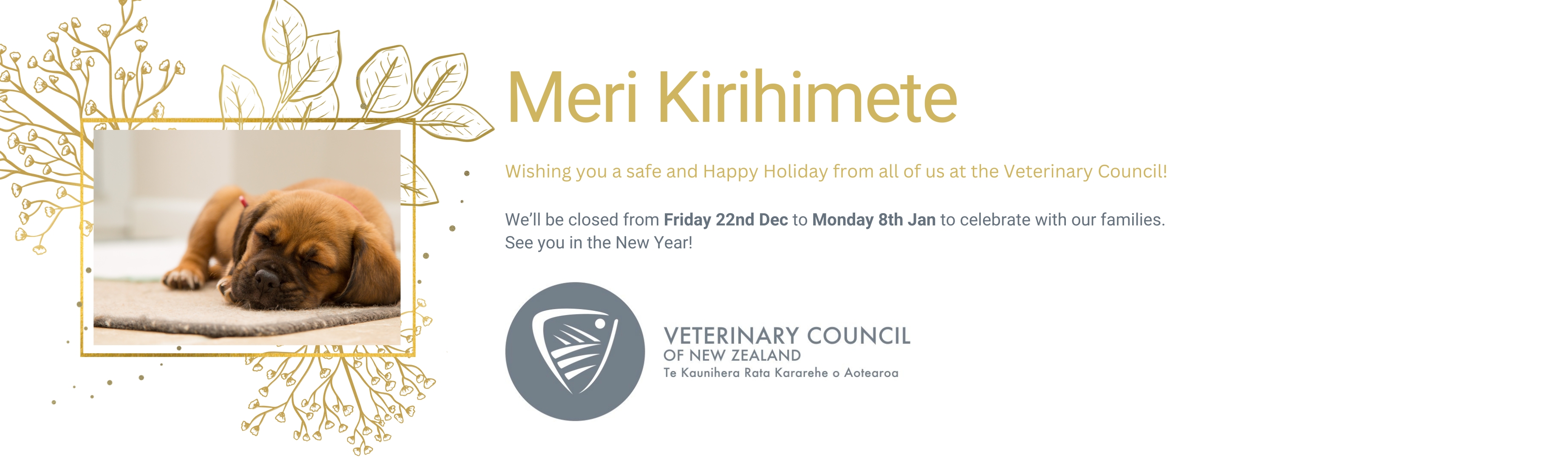 Meri Kirihimete, wishing you a safe and happy holidays from all of us at the Vet Council. We'll be closed from Friday 22 December to Monday 8 January to celebrate with our families.